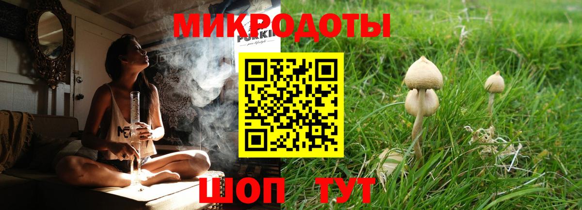 Ярцево  Псилоцибиновые грибы Magic Shrooms  Вход с VPN 