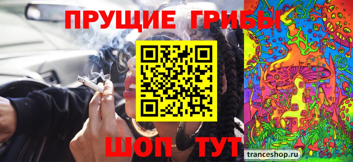 Галлюциногенные грибы Psilocybe Ярцево